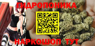 шишки Кулебаки