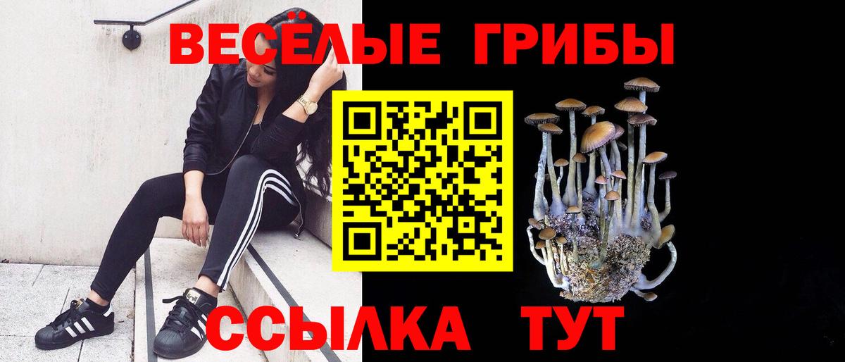 Галлюциногенные грибы Psilocybe  Вход с VPN  Салават 